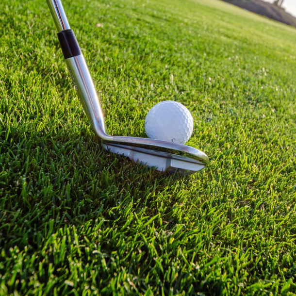 Close up of golf club teeing up ball on green.