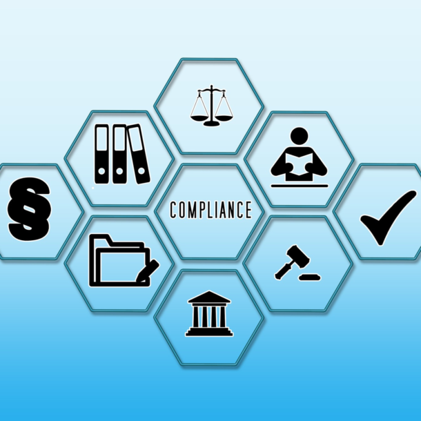 Law infographics displayed in blue hexagons.